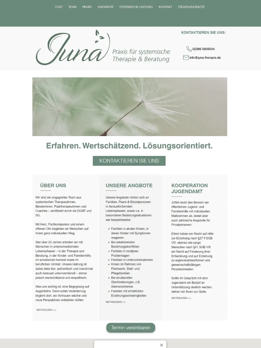 Alte Website von JUNA: Kopfzeile, Logo und ein Stockbild einer Pusteblume, darunter drei Textspalten